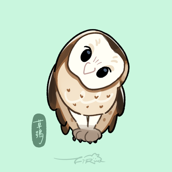 【日日有鳥伴】初見森林的七位訪客