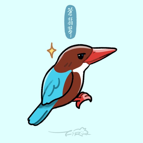 【週週有鳥報】第三期