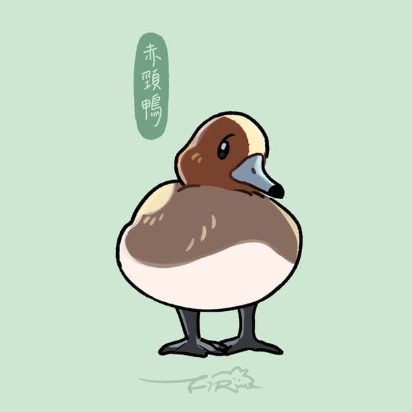 【週週有鳥報】第四期