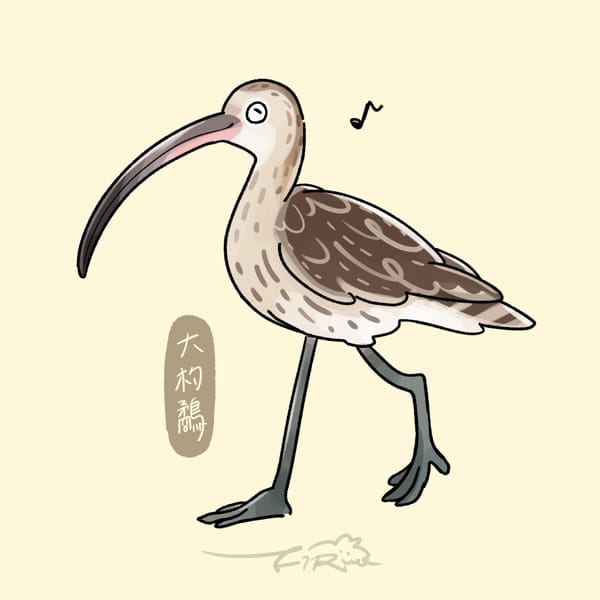 【週週有鳥報】第五期