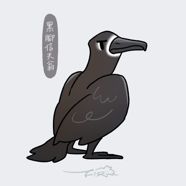 【週週有鳥報】第六期