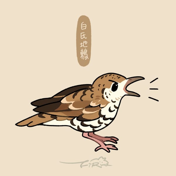 【週週有鳥報】第七期