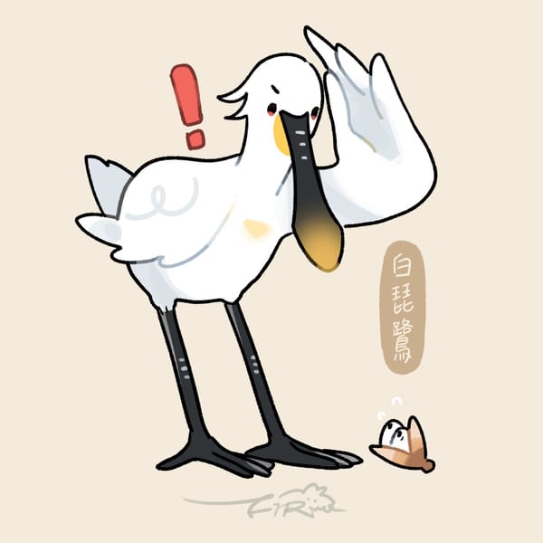 【週週有鳥報】第八期