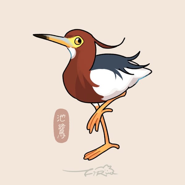 【週週有鳥報】第九期