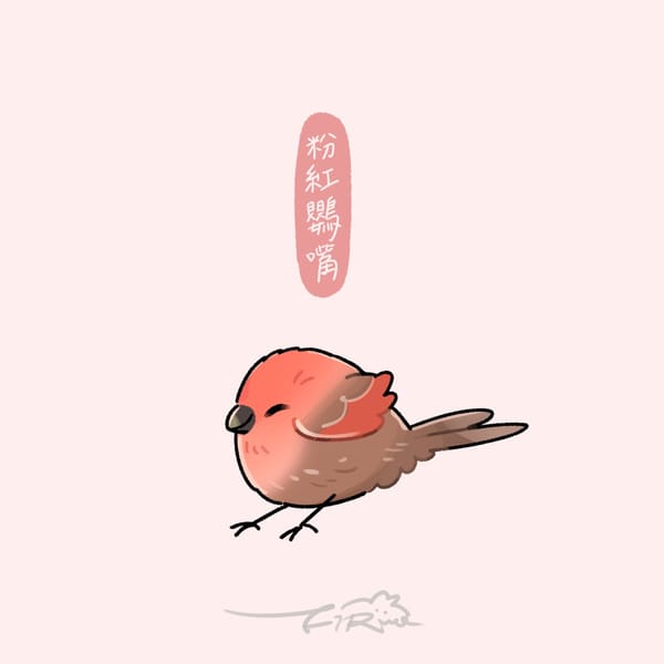 【週週有鳥報】第十期