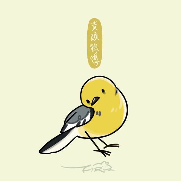 【週週有鳥報】第十二期
