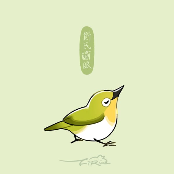 【週週有鳥報】第十一期