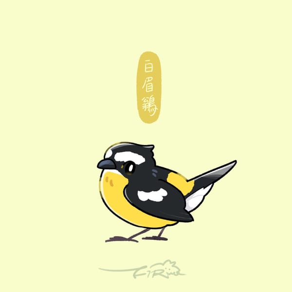 【週週有鳥報】第十四期