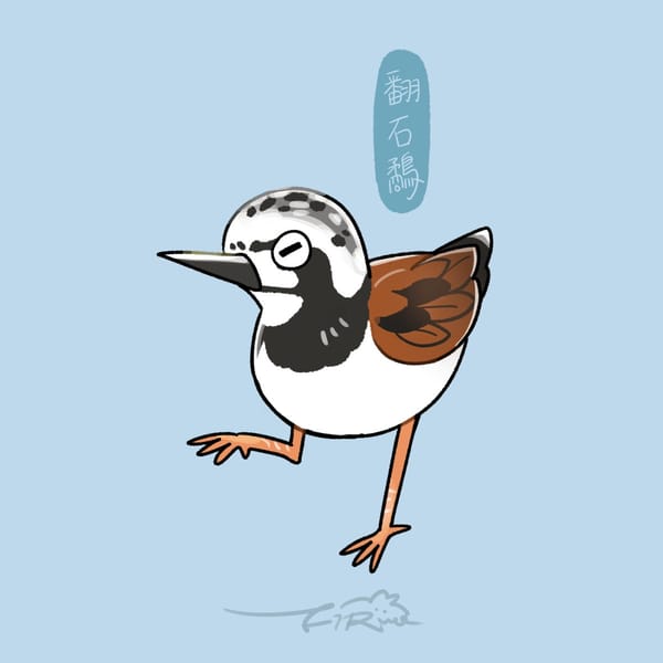 【週週有鳥報】第十五期