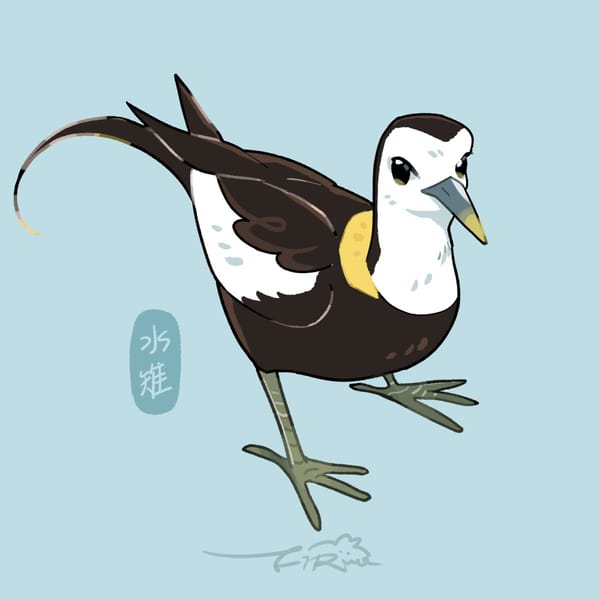 【週週有鳥報】第十六期