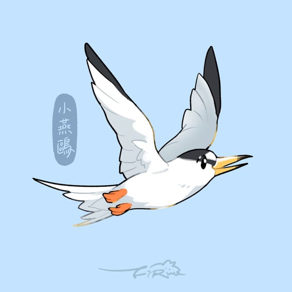 【週週有鳥報】第十七期