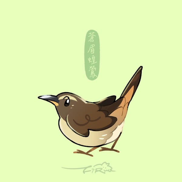 【週週有鳥報】第十八期