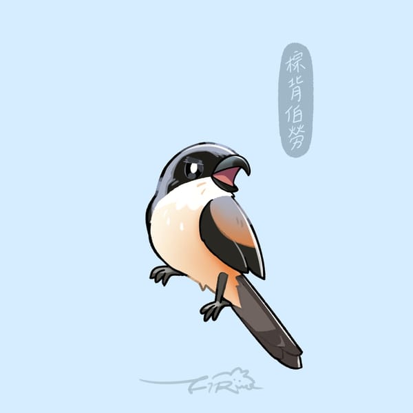 【週週有鳥報】第十九期