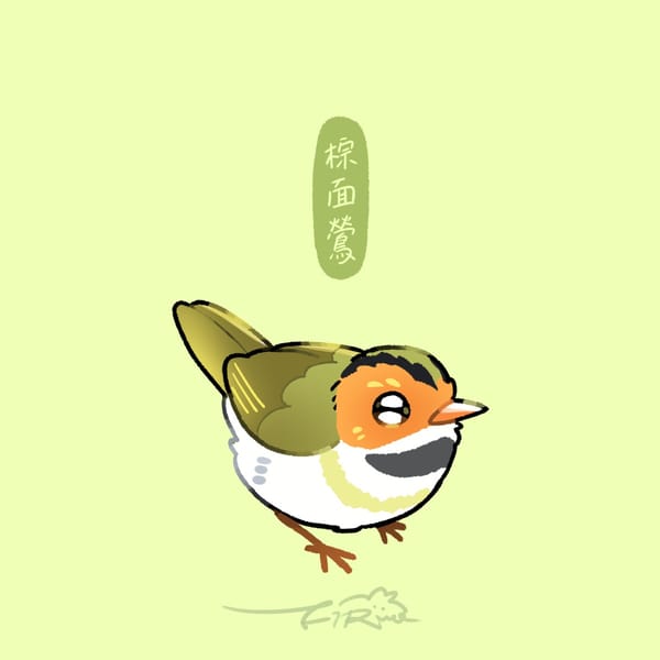 【週週有鳥報】第二十期