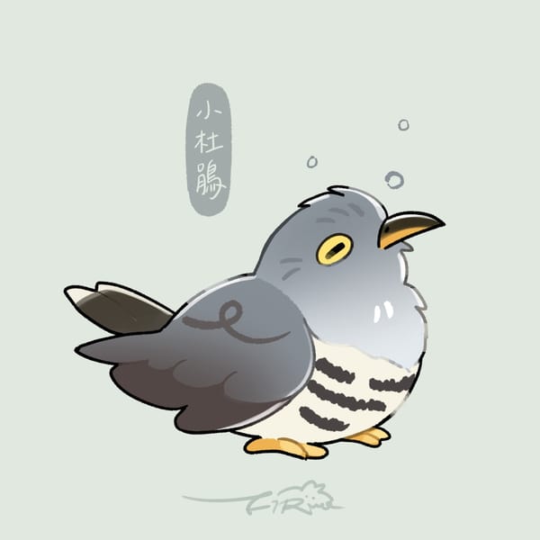 【週週有鳥報】第二十一期